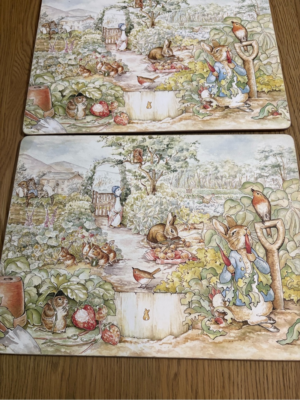 Pottery Barn Kids Bunny Garden Placemat Set in Pastel Brown, Green, Blue